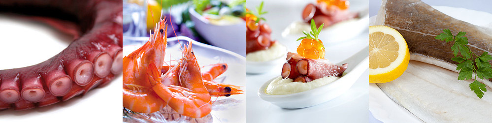 banner-head-home Cocimar - Gourmets del mar