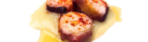Pulpo a la brasa