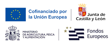 Cofinanciado por la Unión Europea